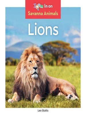 Lions - ebook